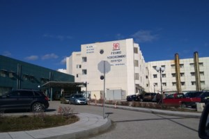 Ηλεία: Ποια είναι η καφέ αράχνη που φέρεται να τσίμπησε τον άτυχο 48χρονο - Δεν υπάρχει αντίδοτο, ποιες είναι οι επιπλοκές