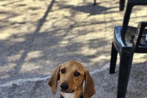 Θα ερωτευτείτε όπως ερωτευτήκαμε και εμείς, αλλά αλήθεια θα ε ρ ω τ ε υ τ ε ί τ ε - εικόνα 3