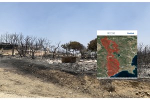 Διπλή εισαγγελική παρέμβαση για τη φωτιά στη Ρόδο - Έρευνα για οργανωμένο σχέδιο εμπρησμών ή αμέλεια