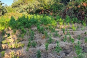 Πύργος: Μαζί στη ζωή και στον θάνατο – Ζευγάρι 95 και 103 ετών "έφυγαν" με διαφορά λίγων λεπτών