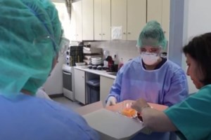 Εντονες πιέσεις εισπρακτικών σε γιατρούς καταγγέλλει ο ΙΣΑ: Επιστολή σε Στουρνάρα - εικόνα 2