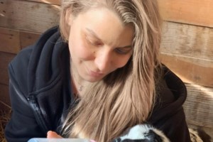 Νέο κολαστήριο σε "καταφύγιο" για σκύλους στην Φιλιππιάδα – Εικόνες ντροπής [βιντεο] - εικόνα 6