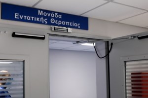 Σε έξαρση η εγκατάλειψη άγριων ζώων - Φίδια, ιγκουάνα και κουνέλια καταλήγουν σε πάρκα - εικόνα 2