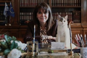 Ναύπακτος: Κατήγγειλε νταήδες για κακοποίηση ζώων και του έριξαν μολότοφ - "Με απειλούν, δεν μπορώ να κυκλοφορήσω" - εικόνα 2