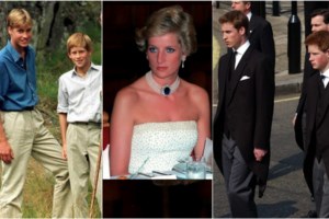 Εγινε κι αυτό: Τρία εργαστήρια υδροπονικής καλλιέργειας κάνναβης, σε σπίτι στους Θρακομακεδόνες [Εικόνες] - εικόνα 4