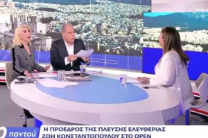 "Βαρέα και ανθυγιεινά για τους δημοσιογράφους": Πάρτι στο ''X'' για τον καβγά Στραβελάκη - Κωνσταντοπούλου [βίντεο] - εικόνα 6