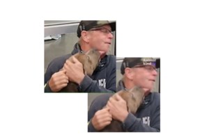 Συγκινεί η αφοσίωση του σκύλου που έμεινε δίπλα στο νεκρό ιδιοκτήτη του μετά την εξαφάνισή τους σε πεζοπορία - εικόνα 4