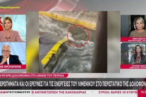 Τριαντάφυλλος για Blue Horizon: "Δεν κατάλαβα Μαριάντα μου γιατί κάνεις νοήματα; Δολοφονία είναι, θα μου κάνουν μήνυση;" - εικόνα 2