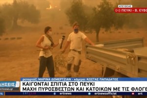 Φωτιά στην Εύβοια: Η πυρκαγιά απειλεί τα χωριά Γαλατσώνα, Αβγαριά και Ασμίνι – Μάχη στο μέτωπο προς Ιστιαία [Βίντεο] - εικόνα 4