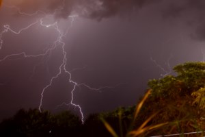 Φρίκη στην Κρήτη: Σύλληψη και πρόστιμο 30.000 ευρώ σε άνδρα που κακοποιούσε άλογο - εικόνα 2