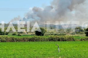 Εγκώμια Πάιατ: Εκφράζω τον θαυμασμό μου στις ελληνικές αρχές που μας κράτησαν όλους ασφαλείς - εικόνα 2