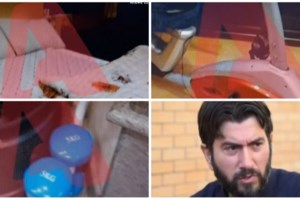 Κιβωτός του Κόσμου: Λειτουργούσε σφαγείο στη δομή του Βόλου - 15χρονα έκαναν τους εκδορείς [βίντεο]