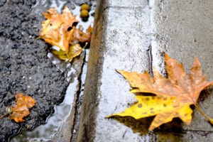 Φθινόπωρο το διήμερο Τετάρτη και Πέμπτη με βοριάδες και βροχές - Πότε θα δούμε τις πιο χαμηλές θερμοκρασίες