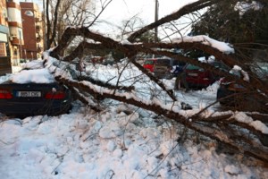Το 'στρωσε στην Φλώρινα - Χιονίζει σε Κεντρική και Δυτική Μακεδονία [εικόνες] - εικόνα 6