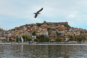Κορονοϊός: 2.422 νέα κρούσματα σήμερα - 37 θάνατοι και 364 διασωληνωμένοι - εικόνα 5