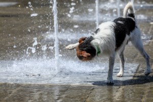 Μαρινάκης: Σε αυξημένη ετοιμότητα ο κρατικός μηχανισμός για την αντιμετώπιση επικίνδυνων πυρκαγιών