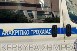 Κέρκυρα: Νεκρά δελφίνια στην παραλία της Αχαράβης - εικόνα 2