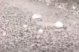 Στις φλόγες η Ιταλία: Δύο νεκροί από τις πυρκαγιές - Εκκενώνεται νοσοκομείο, απειλήθηκε δωρικός ναός - εικόνα 2