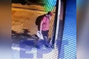 "Είμαι μορφωμένος και έχω οικογένεια": Αρνείται ο 40χρονος ότι αυτός ποδοπάτησε μέχρι θανάτου το γατάκι στη Θεσσαλονίκη