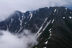 Το μυστηριώδες δάσος της Ελλάδας με τα χιλιάδες βότανα και τα δέντρα... χορεύουν [βίντεο]