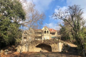 Φωτιά στο Τατόι: Οι φλόγες στους βασιλικούς τάφους-  Μάχη για τα κοντέινερς με τα 100.000 πολύτιμα αντικείμενα [Βίντεο] - εικόνα 5