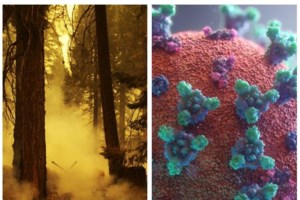 Εκκληση του διευθυντή του ΠΑΓΝΗ: Εμβολιαστείτε, γεμίζουν οι κλίνες - Ανεμβολίαστοι όλοι οι ασθενείς στη ΜΕΘ - εικόνα 2