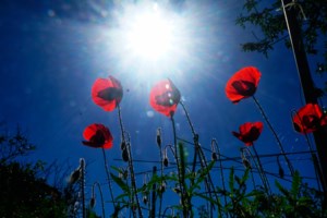 Μεγάλη Τρίτη: Τι γιορτάζουμε σήμερα – Το τροπάριο της Κασσιανής και τα έθιμα της ημέρας