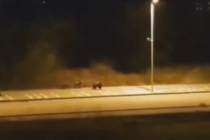 Κορονοϊός: Κάμψη της καμπύλης των κρουσμάτων σε Καστοριά και Κοζάνη- Αναλυτικά τα στοιχεία - εικόνα 2