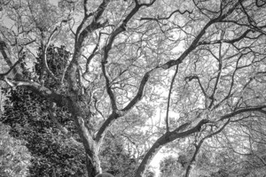 Μέγκαν Μαρκλ: Τα 20 καλύτερα looks της πρώτης εγκυμοσύνης της - εικόνα 2