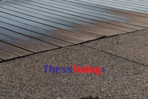 Απίστευτες εικόνες στη Θεσσαλονίκη: Τουρίστας κολυμπά στον Θερμαϊκό ανάμεσα σε ψόφια ποντίκια [βίντεο]