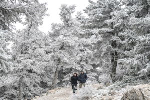 Μεσσηνία: Χωρίς ρεύμα για πάνω από 24 ώρες δύο οικισμοί στον Ταΰγετο - Σε απόγνωση οι κάτοικοι εν μέσω ψύχους