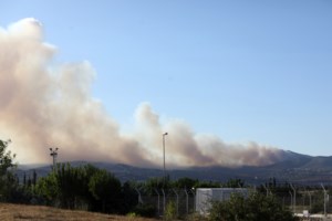 Μεγάλη φωτιά στα Μέγαρα: Απειλούνται σπίτια στη Ζάχουλη - Εξαπλώνεται το μέτωπο της πυρκαγιάς [Βίντεο] - εικόνα 10