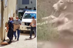 Παύεται από τα καθήκοντά του ο αντιδήμαρχος που έσερνε το γαϊδουράκι με το αγροτικό