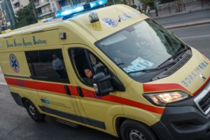 Παρέλαση... 20 αγριογούρουνων στη Λιβαδειά [βίντεο]