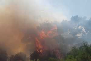 Στην Πάρνηθα ο Κυριάκος Μητσοτάκης - Επίσκεψη στις πληγείσες περιοχές από την καταστροφική φωτιά [Εικόνες] - εικόνα 5