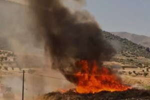 Ξέσπασε μεγάλη φωτιά στη Ριτσώνα: Στη μάχη 100 πυροσβέστες, τέσσερα αεροσκάφη και δύο ελικόπτερα - εικόνα 4