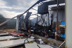 Φωτιά στην Πτολεμαΐδα: Καίγεται πευκοδάσος στο Μεσόβουνο - εικόνα 2