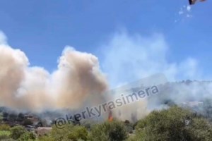 Πυρκαγιά στην Ηλεία – Λιποθύμησε πυροσβέστης [εικόνες - βίντεο]