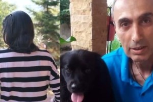 Πιερία: Αυτές είναι οι ζωγραφιές του 3χρονου παιδιού που οδήγησαν στη σύλληψη της 34χρονης - Φωνάζει συνέχεια "μπαμπά" - εικόνα 4