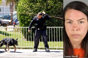 Europol: Γιγαντιαία διεθνής επιχείρηση εναντίον του οργανωμένου εγκλήματος - Πώς εντόπισε και συνέλαβε 800 άτομα