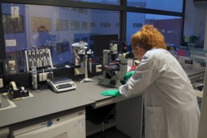 ΗΠΑ: Ο Τζο Μπάιντεν καλεί την Γερουσία να εγκρίνει γρήγορα το σχέδιο οικονομικής ανάκαμψης - "Δεν έχουμε χρόνο για χάσιμο" - εικόνα 2