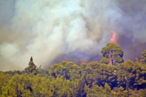 Φωτιά στη Δαδιά: Πολύ δύσκολο το νοτιοδυτικό πύρινο μέτωπο - 89 πυρκαγιές σε 48 ώρες στη χώρα - εικόνα 3