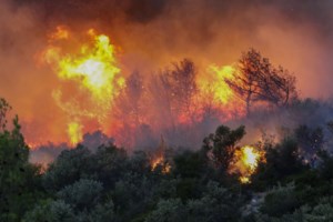 Φωτιά στην Πάρνηθα: Βίντεο timelapse δείχνει πώς η πυρκαγιά εξαπλώθηκε ραγδαία μέσα σε μισή ώρα - "Πήδηξε" τη χαράδρα