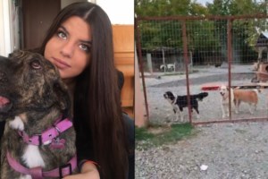 Σταματίνα Σταματάκου: Η απάντηση σε δημοσίευμα που τη θέλει υποψήφια βουλευτή με τη ΝΔ