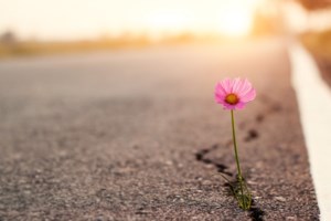 "Διάσημα" προβλήματα ψυχικής υγείας και πώς αυτά σβήνουν το κοινωνικό στίγμα