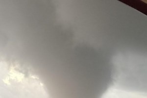 Πάνω από 217 ελάφια έχουν σκοτωθεί στο οδικό δίκτυο της Ρόδου