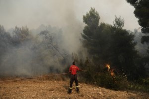 Μπαράζ φωτιάς: 62 δασικές πυρκαγιές σε 24 ώρες - Πολιτική κόντρα για Κεχριές - εικόνα 5