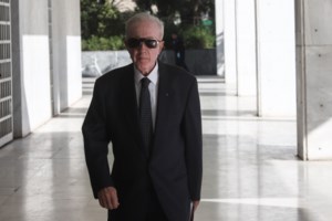 Έλενα Ακρίτα: Χαμός με την ανάρτηση για το Θάνο Πλεύρη-Γιατί τον υπερασπίζεται - εικόνα 5