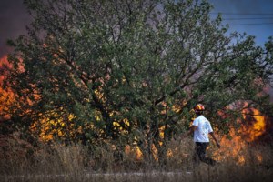Φωτιές - Οι ποινές: Ένας χρόνος φυλακή για τους "εξ αμελείας" εμπρηστές, έως 10 χρόνια αν κινδυνεύσει άνθρωπος - Ποιοι απειλούνται με ισόβια - εικόνα 2