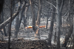 Φωτιά στο Μάτι: Αποζημίωση 310.000 ευρώ από το δικαστήριο σε συγγενείς θύματος που πνίγηκε - εικόνα 2
